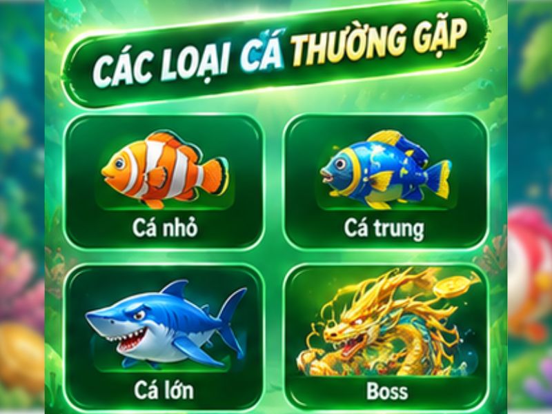 Các loại cá thường gặp trong game Bắn Cá Xèng
