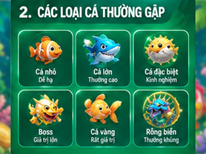 Các loại cá thường gặp