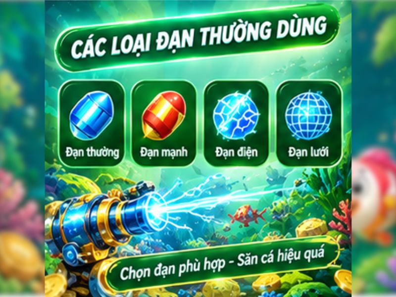 Các loại đạn thường dùng