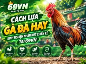 Cách Lựa Gà Đá Hay