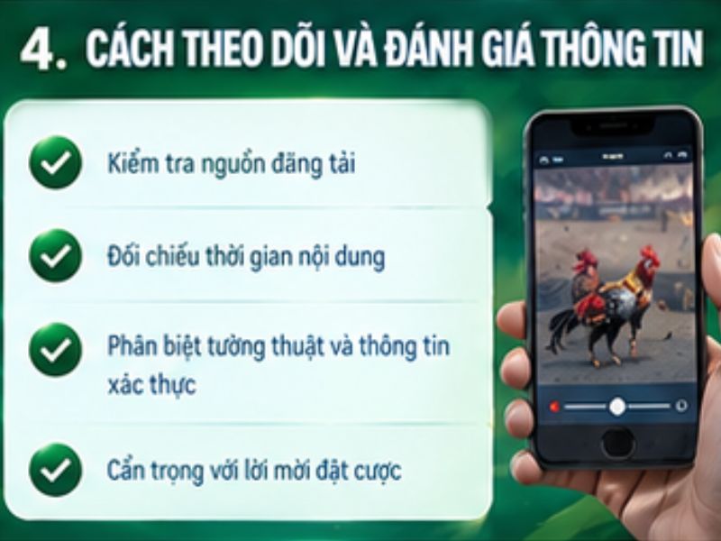 Cách theo dõi và đánh giá thông tin đá gà Thomo