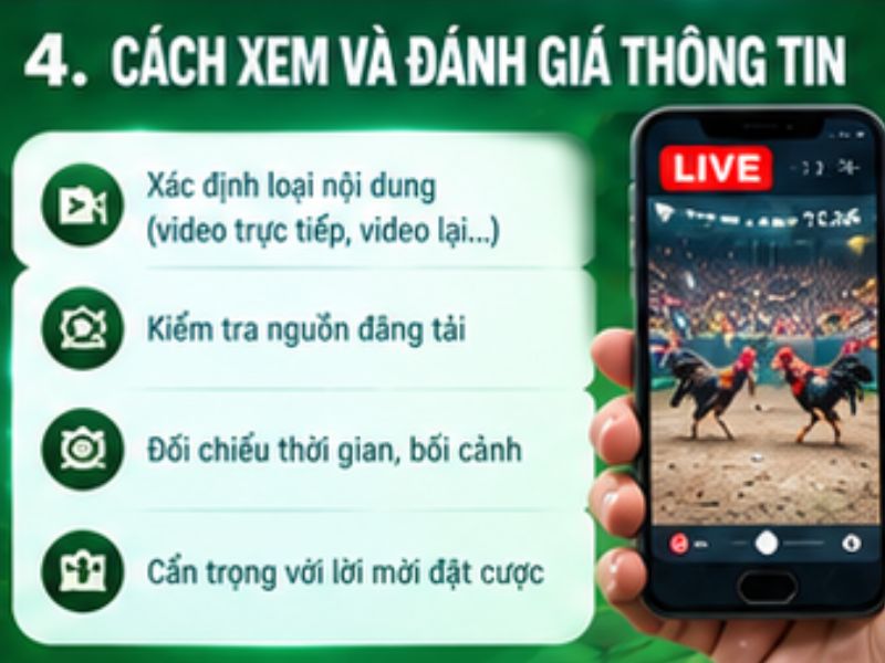 Cách theo dõi và kiểm tra thông tin đá gà cựa sắt 69VN