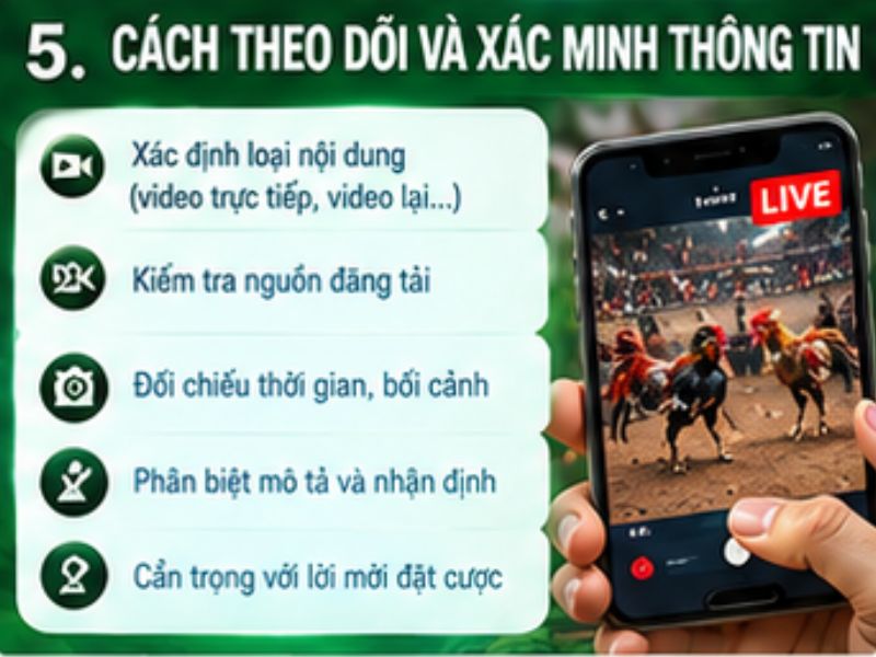 Cách theo dõi và xác minh thông tin đá gà cựa dao