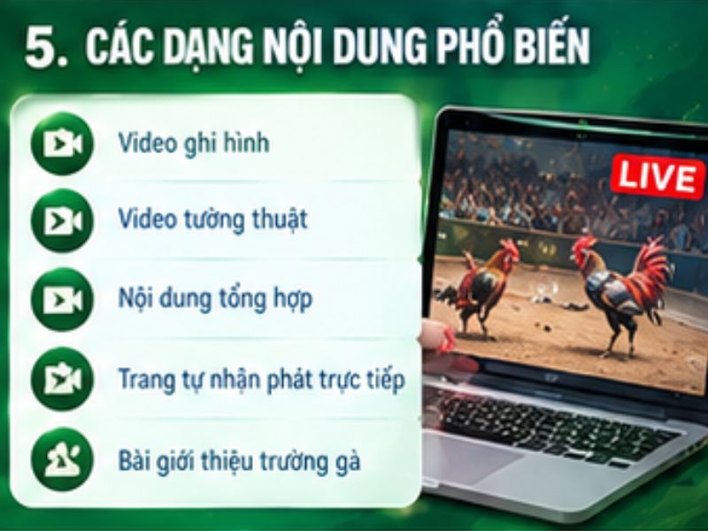 Đá gà Thomo trực tuyến và những điều cần phân biệt