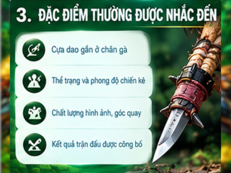 Đặc điểm của gà cựa dao
