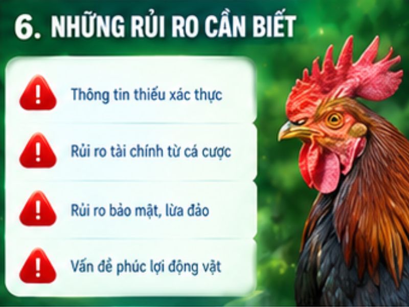 Những rủi ro cần biết khi tiếp cận nội dung đá gà