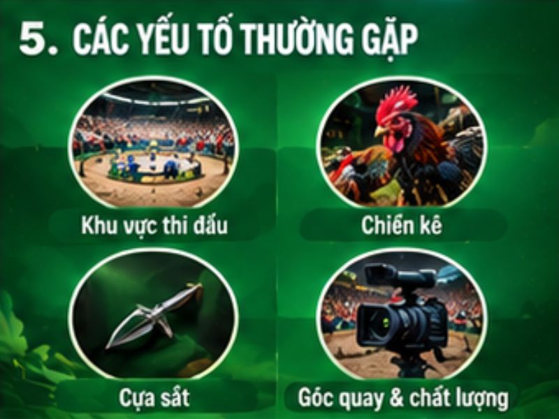 Những yếu tố thường xuất hiện trong video đá gà cựa sắt